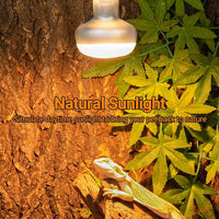 Terrarium Heat Lamp Bulb for Compatible Reptile Habitats