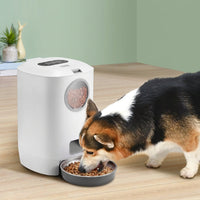 Timed Cat and Dog Food Dispenser with Scheduled Feeding Settings.