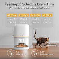 timed pet feeder with stainless steel feeding bowl