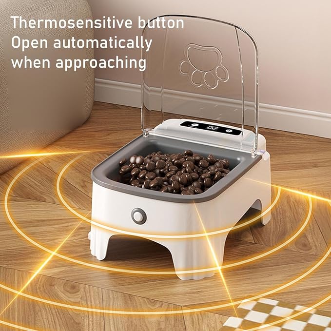 Timed Pet Food Feeder for Cats and Small Dogs