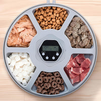 Timed Wet Food Cat Feeder for Indoor Pet Feeding