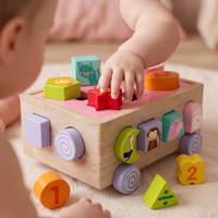 Toddler shape sorter learning car with 18 holes and removable animal puzzle blocks