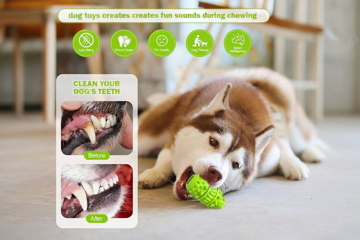 Toothbrush Style Dog Chew Toy Made From Natural Rubber
