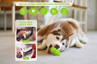 Toothbrush Style Dog Chew Toy Made From Natural Rubber
