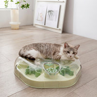 Transparent slow feeder with maze design for cats and dogs