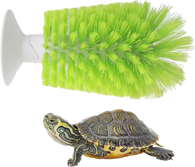 Turtle Scrub Brush with Suction Cup for Easy Shell Cleaning and Exfoliating