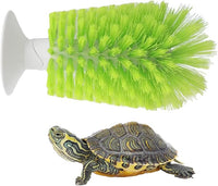 Turtle Scrub Brush with Suction Cup for Easy Shell Cleaning and Exfoliating