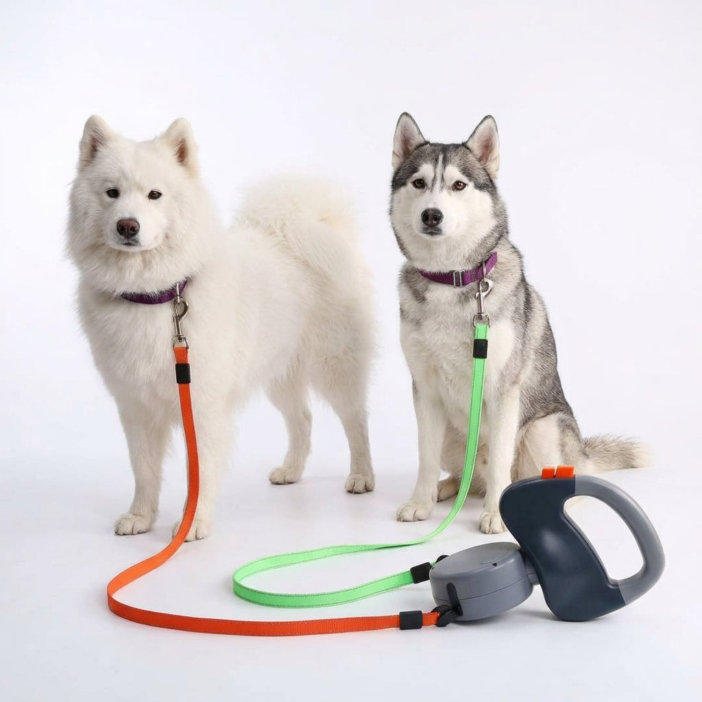 Two dog leash with separate retractable leads for outdoor walking