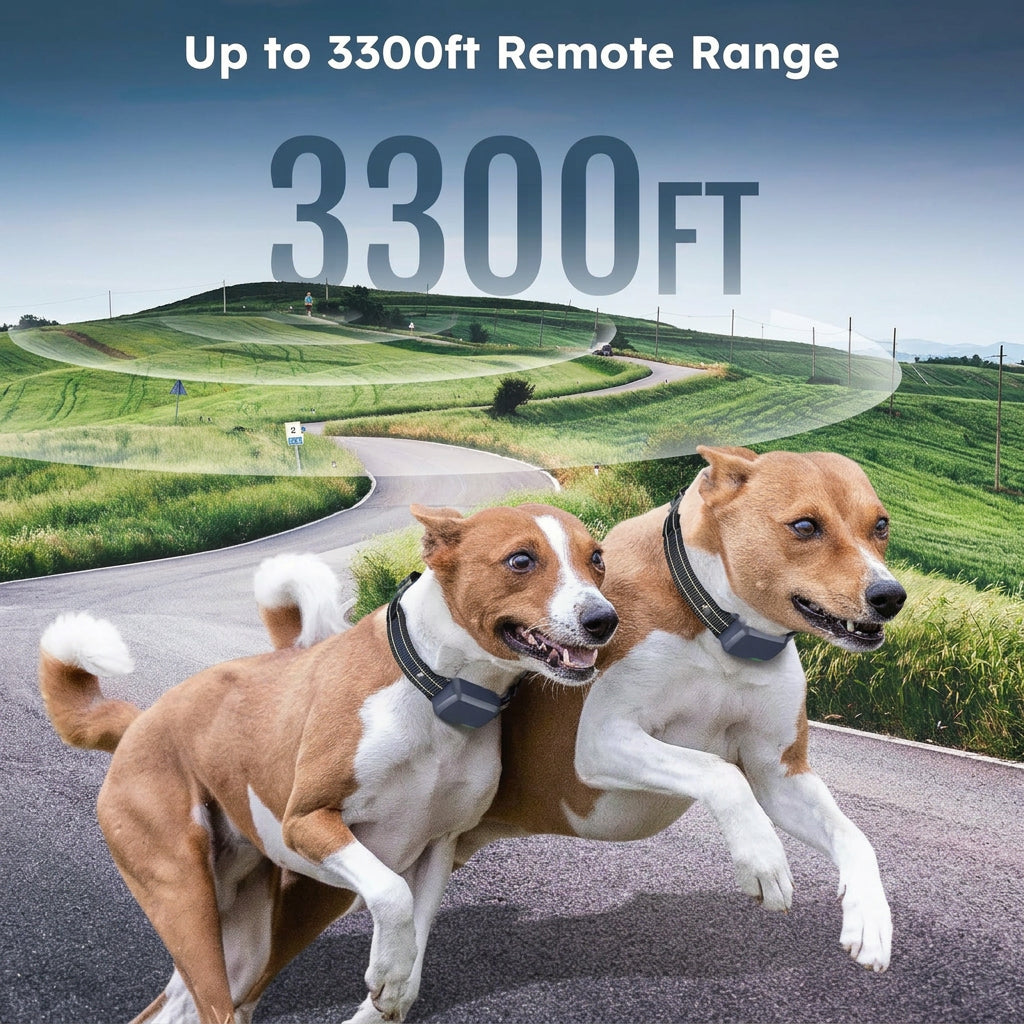Two-dog training collar system with remote controller