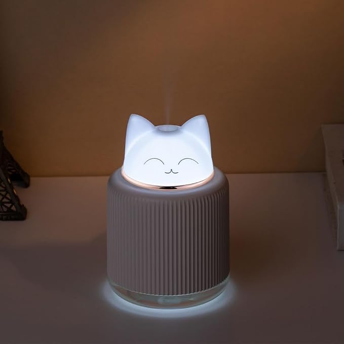 USB powered mini humidifier for home and office