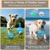 USB rechargeable dog toy ball for indoor play