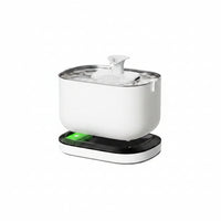 Cat Water Fountain With UV-C Feature And Wireless Design