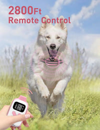 vibration beep dog collar for humane dog training