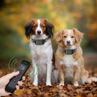 Vibration dog training collar with remote control for supervised training