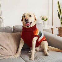 Small Dog Wearing A Soft Knit Winter Sweater