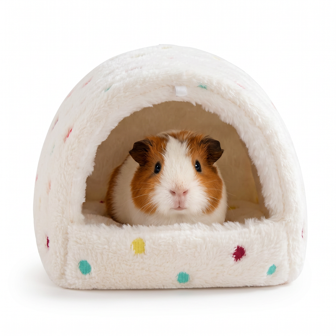 Washable small pet hideout house for guinea pigs and rabbits