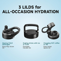 Stainless steel water bottle with straw spout and handle lid options
