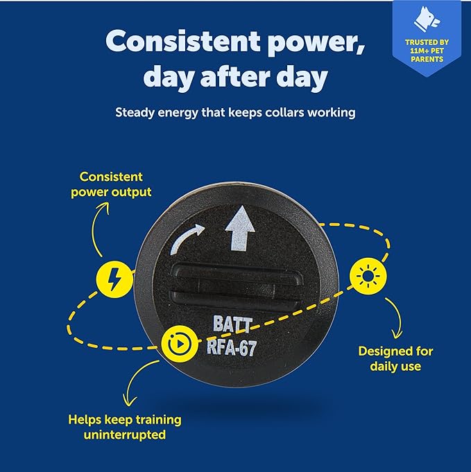 Waterproof RFA-67 6V lithium battery replacement for outdoor pet systems.