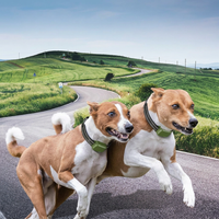 Waterproof dog training collar with remote, rechargeable e-collar for large dogs