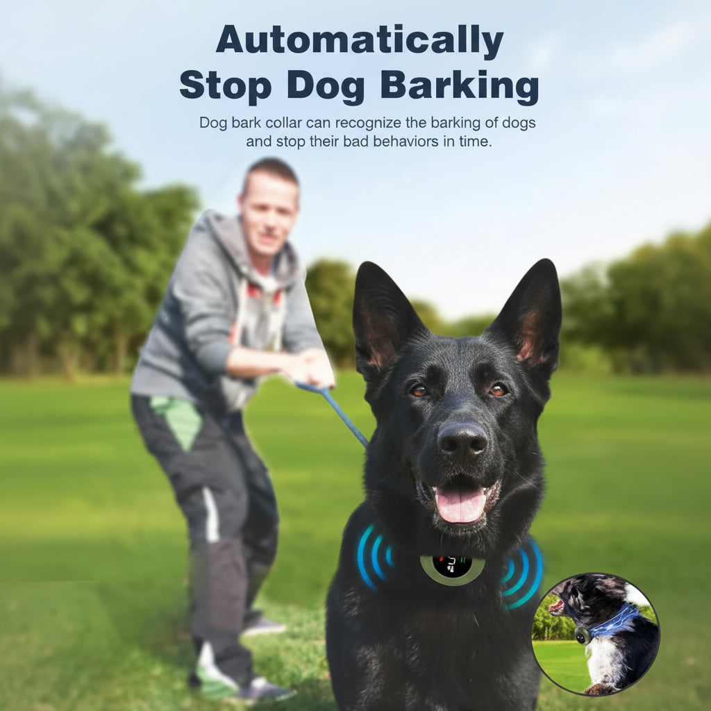 IP67 Waterproof Dog Training Collar With Remote Control
