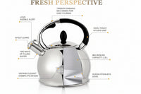 Stainless steel tea kettle with ergonomic carrying handle