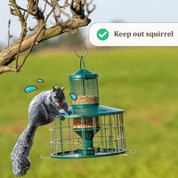 Wild Bird Feeder Caged Design Prevents Squirrels and Large Birds