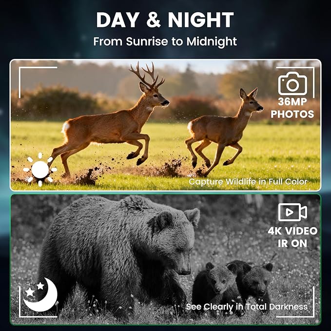 Night vision binoculars for wildlife observation and camping