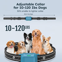 Wireless Dog Training Accessory With Portable Remote Design