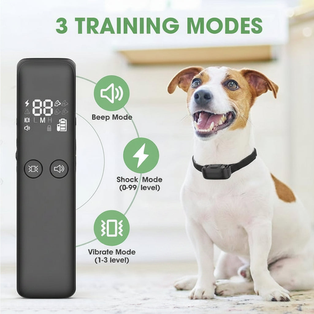 Wireless Pet Training Collar With Remote Control Design