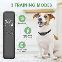 Wireless Pet Training Collar With Remote Control Design