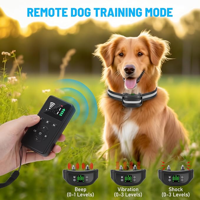 Wireless Pet Training Collar for Supervised Dog Training