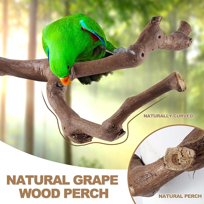 6 piece natural wood bird perch set shown in package layout