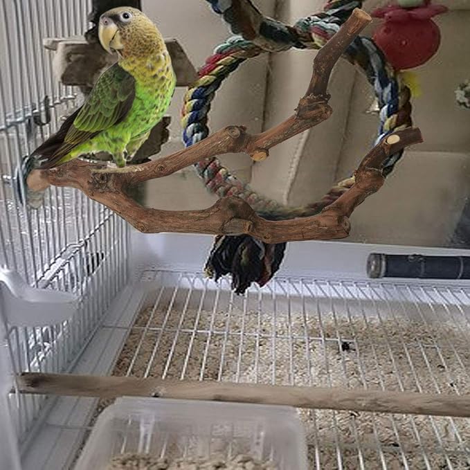Wooden Bird Cage Perch Set with Natural Branch Design for Small Birds