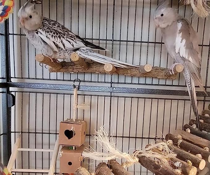 Wooden Bird Ladder Perch – Natural Exercise Bridge for Parrots and Small Animals