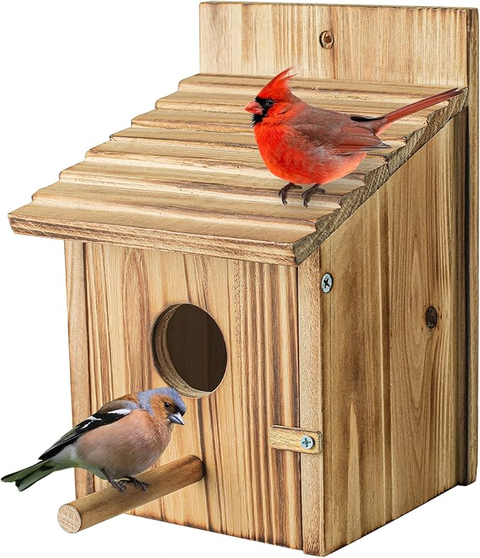 wooden birdhouse for outdoor finches, bluebirds, and cardinals