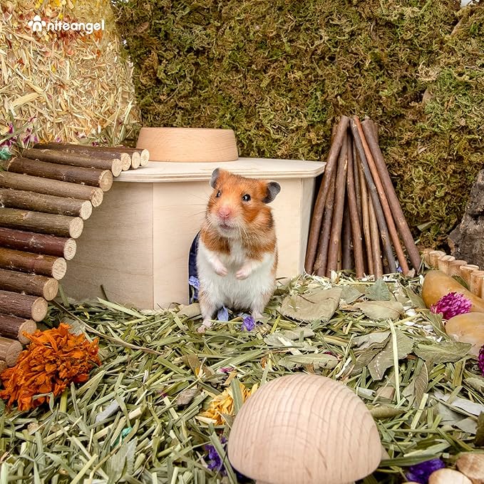 Wooden Hamster Maze House Multi Chamber Hideout