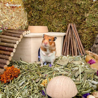 Wooden Hamster Maze House Multi Chamber Hideout