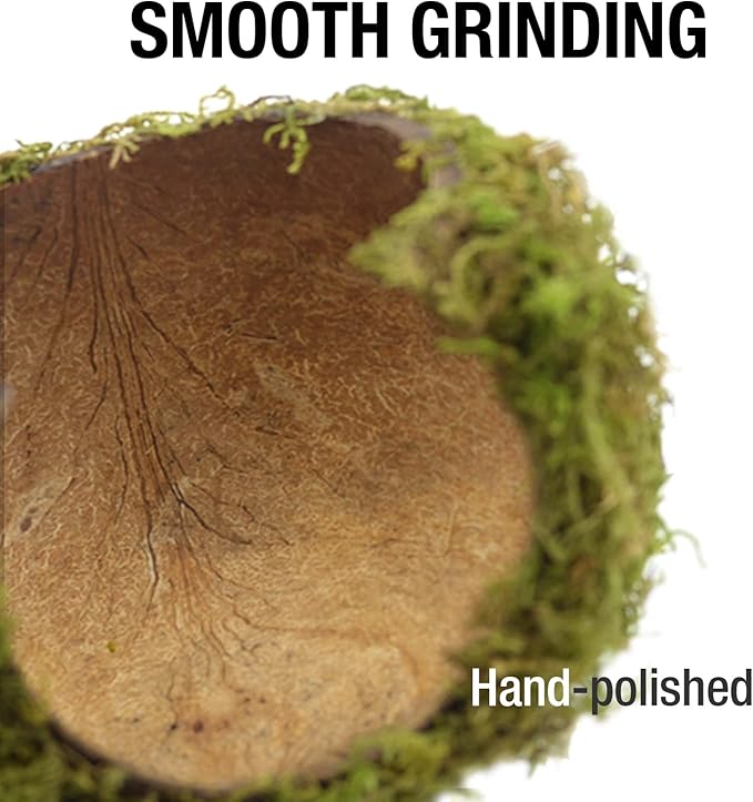 Wooden Moss Hideout for Hamsters Rats and Guinea Pigs