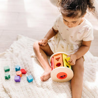 Wooden shape sorter toy gift for toddlers learning toy for 1-3 year old kids