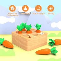 wooden shape sorting puzzle toy for toddlers early learning and development